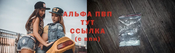эйфоретик Иннополис