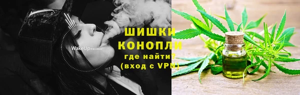 эйфоретик Иннополис