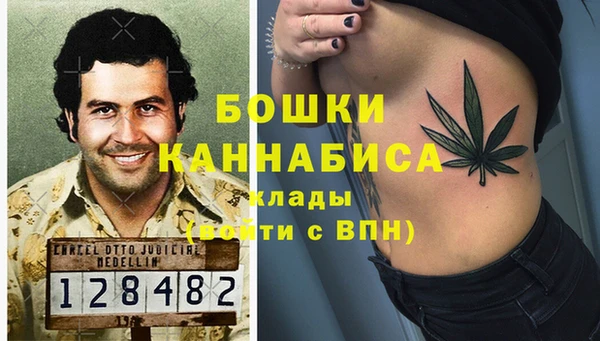 эйфоретик Иннополис