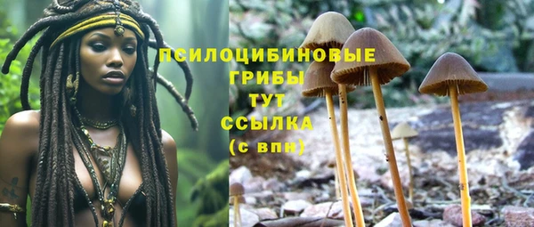 эйфоретик Иннополис